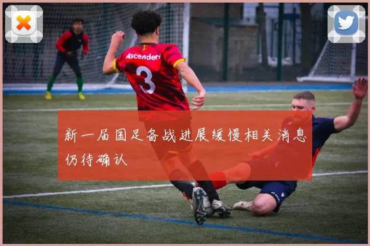 新一届国足备战进展缓慢相关消息仍待确认
