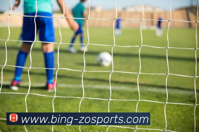 中欧体育服务体系